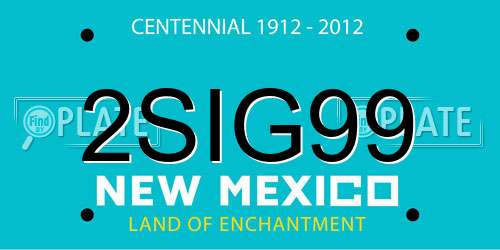 2SIG99 New Mexico License Plate