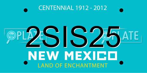 2SIS25 New Mexico License Plate