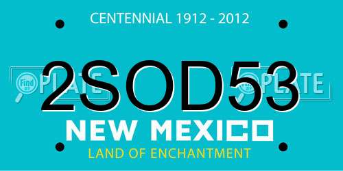 2SOD53 New Mexico License Plate