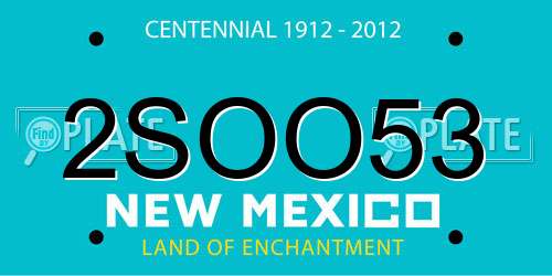 2SOO53 New Mexico License Plate