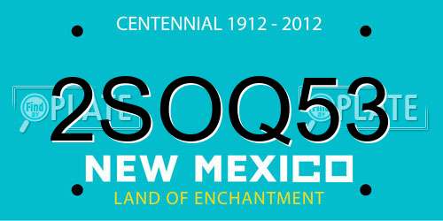 2SOQ53 New Mexico License Plate