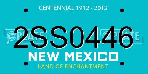 2SS0446 New Mexico License Plate