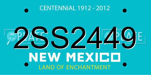 2SS2449 New Mexico License Plate
