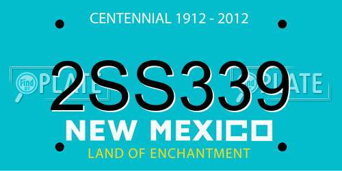 2SS339 New Mexico License Plate