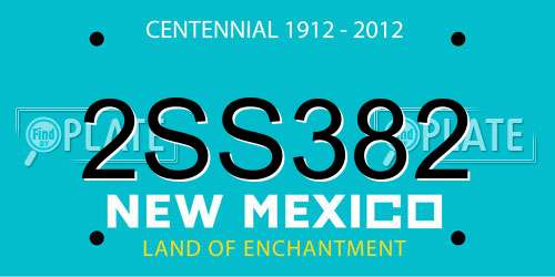 2SS382 New Mexico License Plate