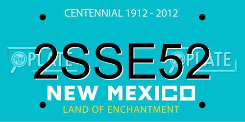 2SSE52 New Mexico License Plate