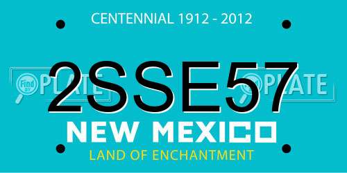 2SSE57 New Mexico License Plate
