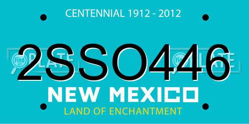 2SSO446 New Mexico License Plate