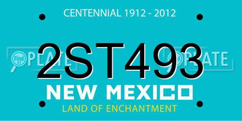 2ST493 New Mexico License Plate