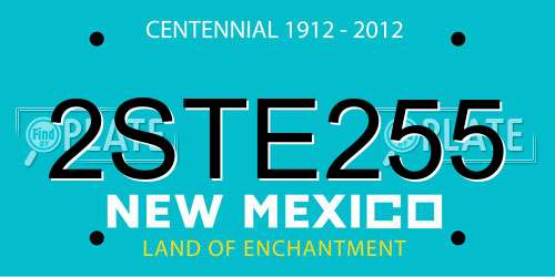 2STE255 New Mexico License Plate