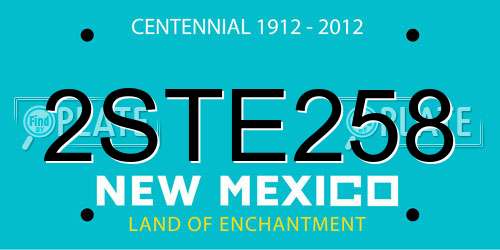 2STE258 New Mexico License Plate