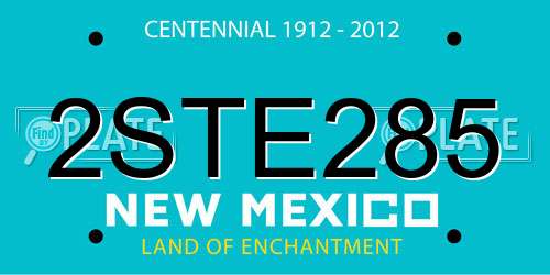 2STE285 New Mexico License Plate