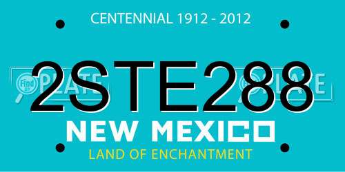 2STE288 New Mexico License Plate