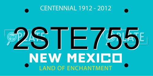 2STE755 New Mexico License Plate