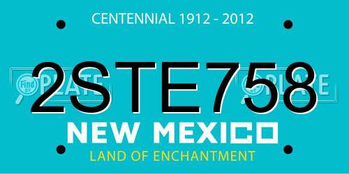 2STE758 New Mexico License Plate