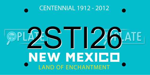 2STI26 New Mexico License Plate