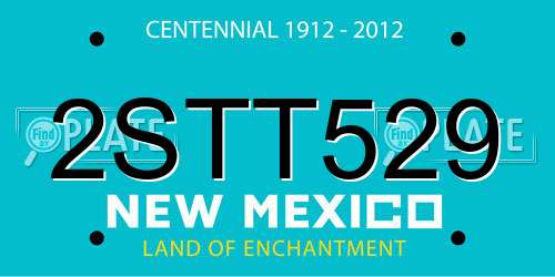 2STT529 New Mexico License Plate