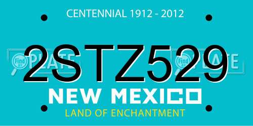 2STZ529 New Mexico License Plate