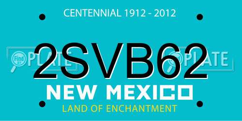 2SVB62 New Mexico License Plate
