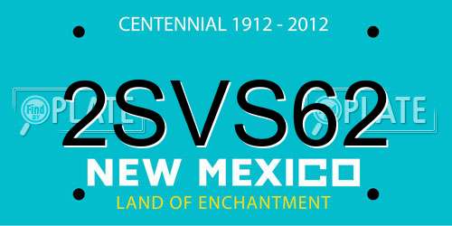 2SVS62 New Mexico License Plate
