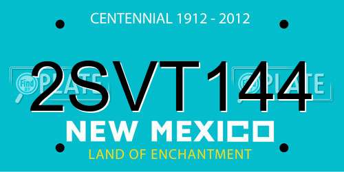 2SVT144 New Mexico License Plate