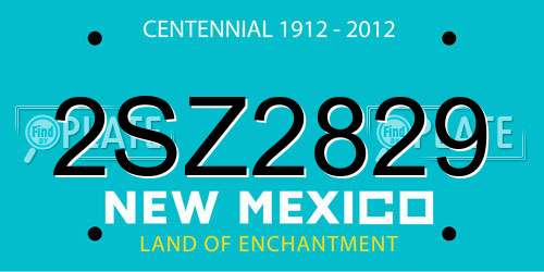 2SZ2829 New Mexico License Plate