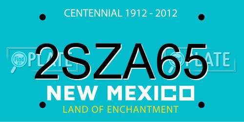 2SZA65 New Mexico License Plate