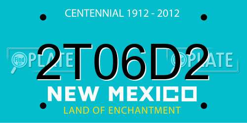 2T06D2 New Mexico License Plate