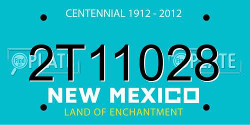 2T11028 New Mexico License Plate