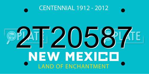 2T20587 New Mexico License Plate