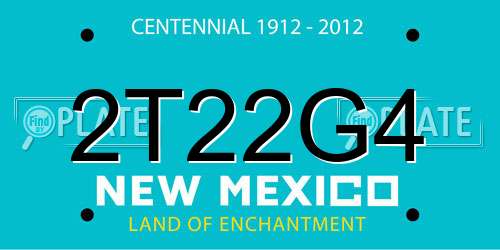2T22G4 New Mexico License Plate