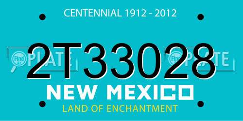 2T33028 New Mexico License Plate
