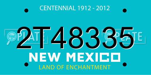 2T48335 New Mexico License Plate