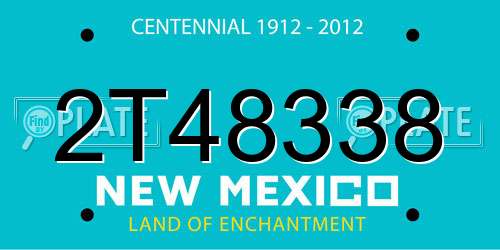 2T48338 New Mexico License Plate