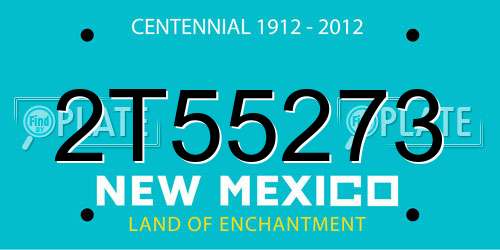 2T55273 New Mexico License Plate