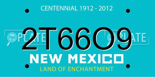 2T66O9 New Mexico License Plate