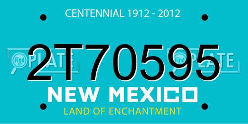 2T70595 New Mexico License Plate