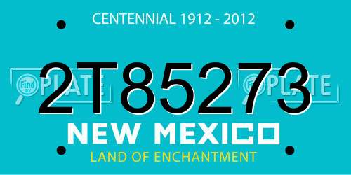 2T85273 New Mexico License Plate