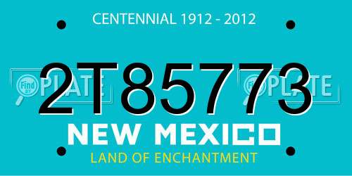 2T85773 New Mexico License Plate