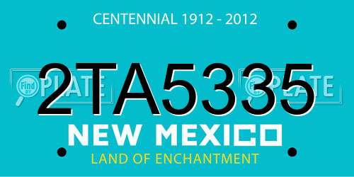 2TA5335 New Mexico License Plate