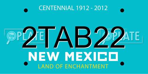 2TAB22 New Mexico License Plate