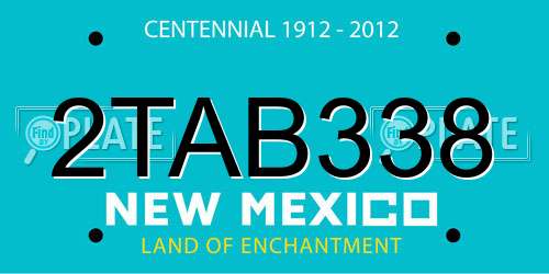 2TAB338 New Mexico License Plate