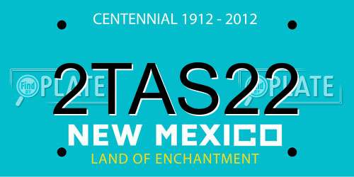 2TAS22 New Mexico License Plate