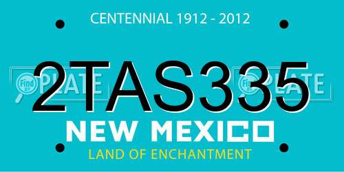 2TAS335 New Mexico License Plate