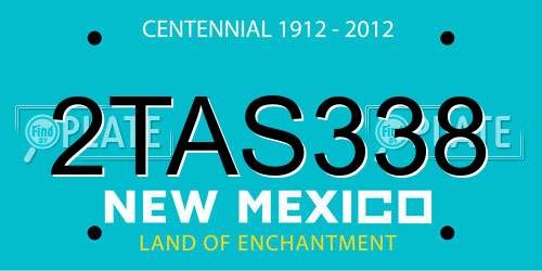 2TAS338 New Mexico License Plate