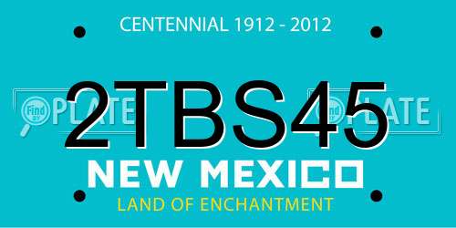 2TBS45 New Mexico License Plate