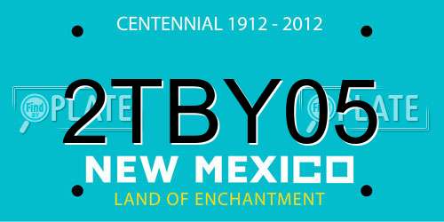 2TBY05 New Mexico License Plate