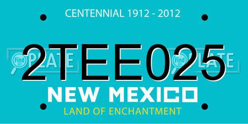2TEE025 New Mexico License Plate