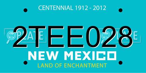 2TEE028 New Mexico License Plate