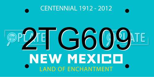 2TG609 New Mexico License Plate